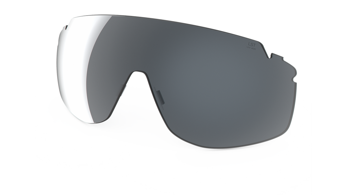 evil eye Wechselglas LST® grey silver M für vistair-y