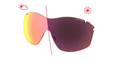 evil eye Wechselglas LST® VARiO purple M für vistair-d